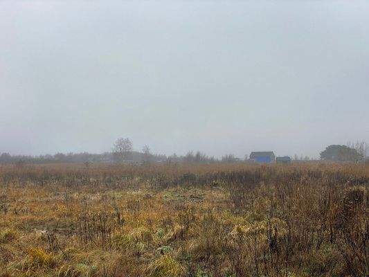 Aktueller Blick über das Grundstück