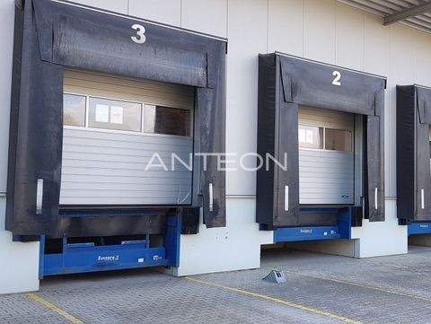 Erkrath Halle, Erkrath Hallenfläche