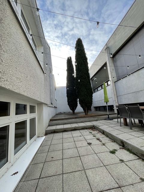 Laupheim Halle, Laupheim Hallenfläche