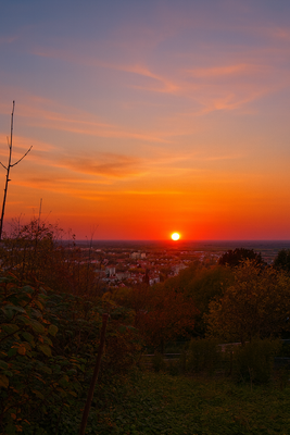 Grundstück Leimen mit Beispielprojekt von HUF HAUS