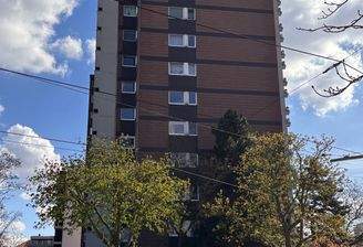 Eine imposante Erscheinung