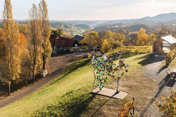 Neussl Eorykogel Liegenschaft 10 2025-20