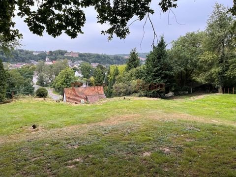 Lauenförde Bauernhöfe, Landwirtschaft, Lauenförde Forstwirtschaft