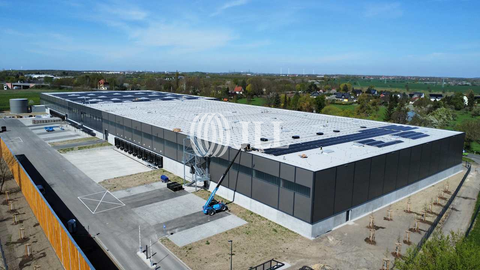 Borsdorf Halle, Borsdorf Hallenfläche