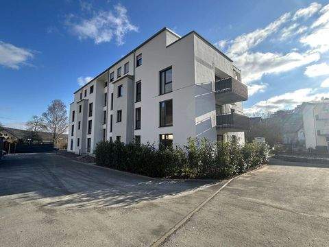 Lohr am Main Wohnungen, Lohr am Main Wohnung mieten