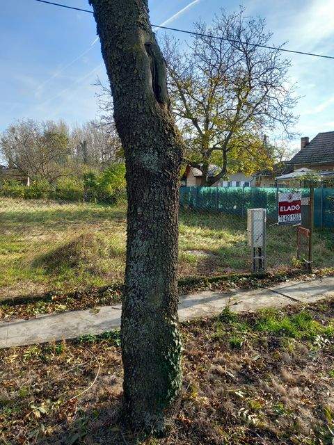 Jánossomorja Grundstücke, Jánossomorja Grundstück kaufen