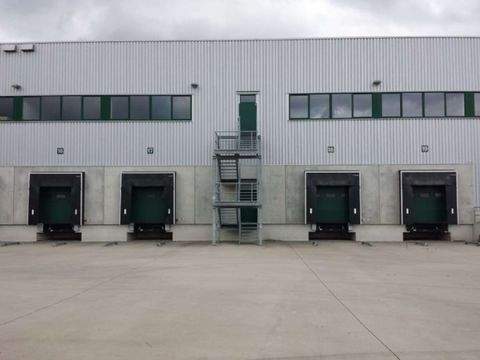 Bochum Halle, Bochum Hallenfläche