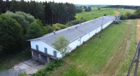 Stinatz / Stinjaki Halle, Stinatz / Stinjaki Hallenfläche