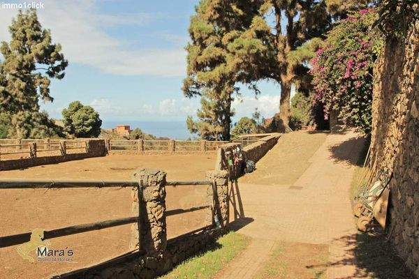 haus mit pferdestall und gästezimmer teneriffa zu verkaufen