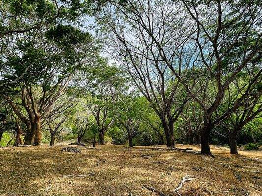 Pachtgrundstück auf Nachfrage (7).JPG