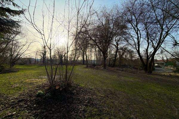 Spaziermöglichkeit für Haustiere