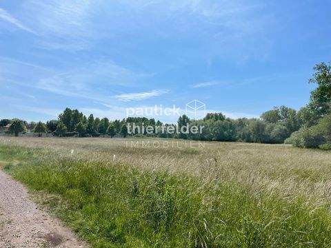 Schkeuditz / Dölzig Bauernhöfe, Landwirtschaft, Schkeuditz / Dölzig Forstwirtschaft