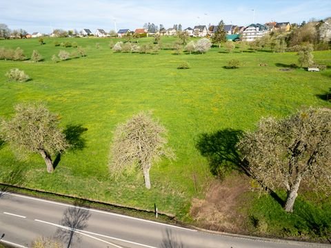 Nusbaum Grundstücke, Nusbaum Grundstück kaufen