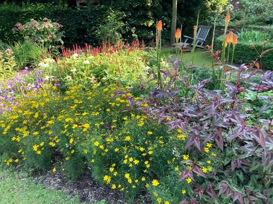 Garten mit automatischer Bewässerung
