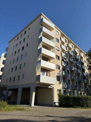 PHOTO-2025-11-23-17-52-45 (1).jpg