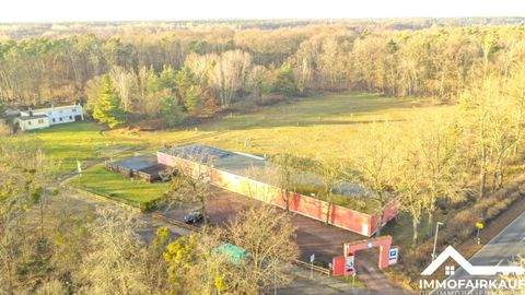 Dessau-Roßlau Gastronomie, Pacht, Gaststätten