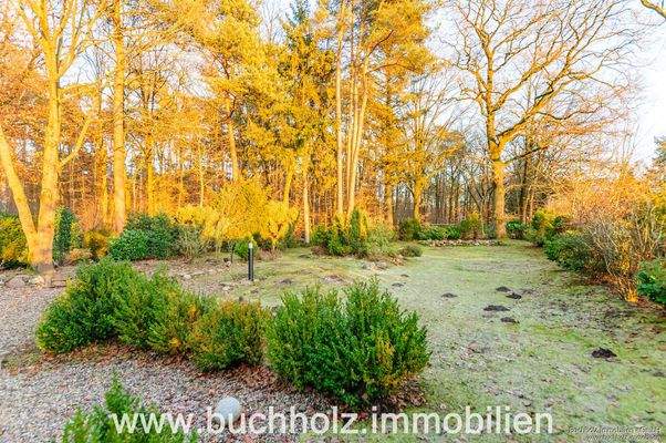 naturbelassenes Grundstück