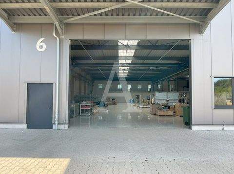 Dormagen Halle, Dormagen Hallenfläche