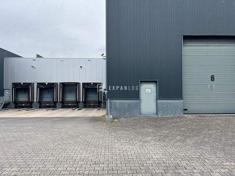 Burscheid Halle, Burscheid Hallenfläche