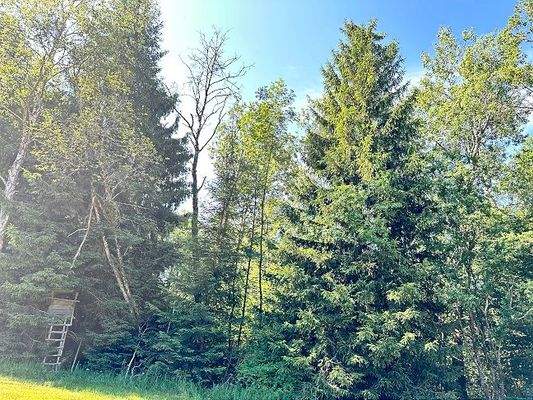 20250625_074034965_iOS