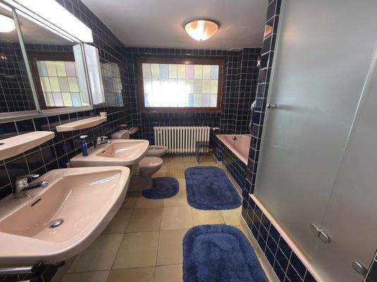 Badezimmer Ansicht 1 