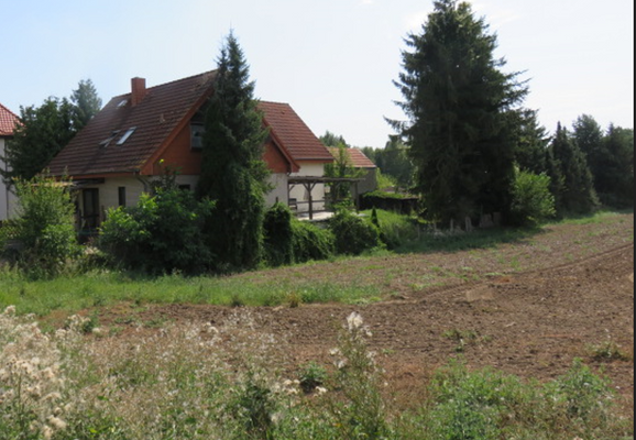 Blick auf die Terrasse