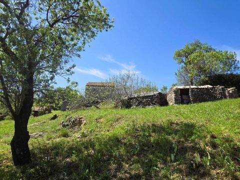 Vis Häuser, Vis Haus kaufen