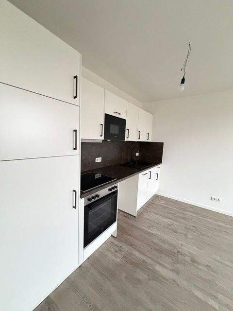 Dresden Wohnungen, Dresden Wohnung mieten