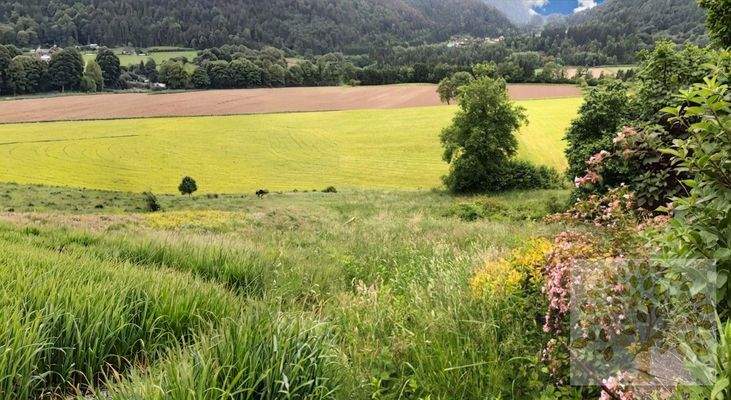 Blick Richtung Süden