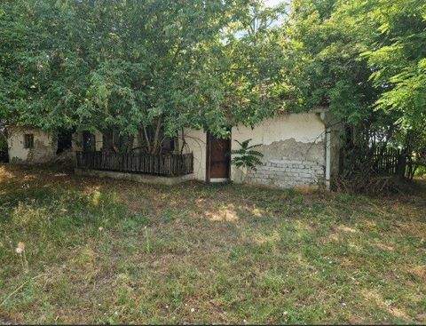 Petofiszállás Bauernhöfe, Landwirtschaft, Petofiszállás Forstwirtschaft