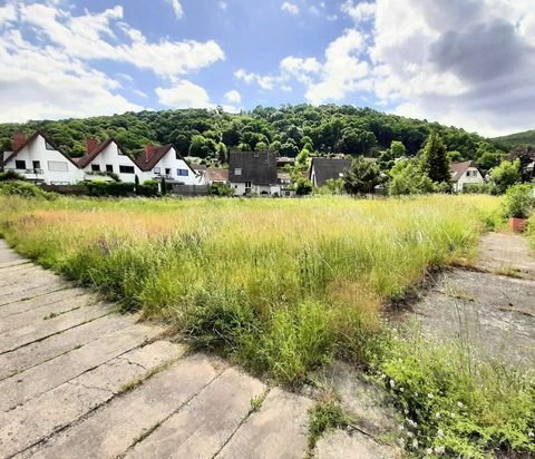 Bad Dürkheim Grundstücke, Bad Dürkheim Grundstück kaufen