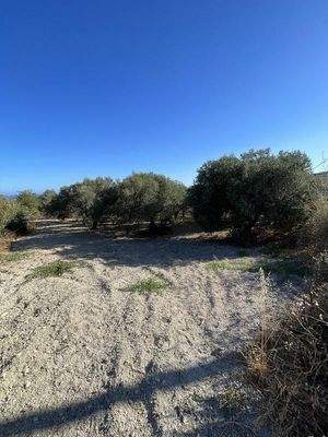 Kreta, Episkopi: Grundstück mit Meerblick, nahe dem Strand zu verkaufen