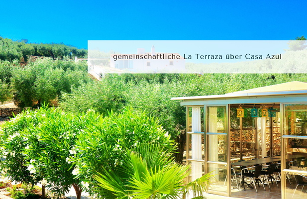 Gemeinschaftlicher Wintergarten/Loggia