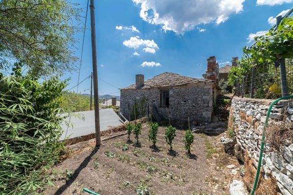 Papatsiaras-Theologos-Kekes 24-07-2024-9.jpg