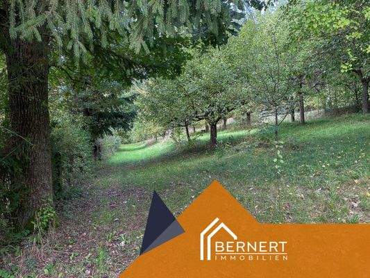 Streuobstwiese unten