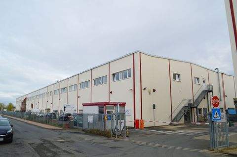 Gera Halle, Gera Hallenfläche