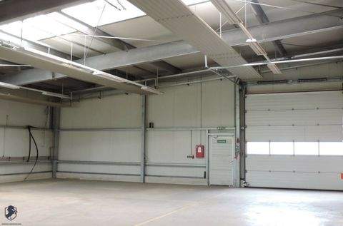 Neutal Halle, Neutal Hallenfläche