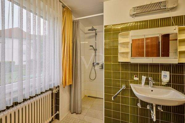 Tageslichtbad mit Dusche im EG