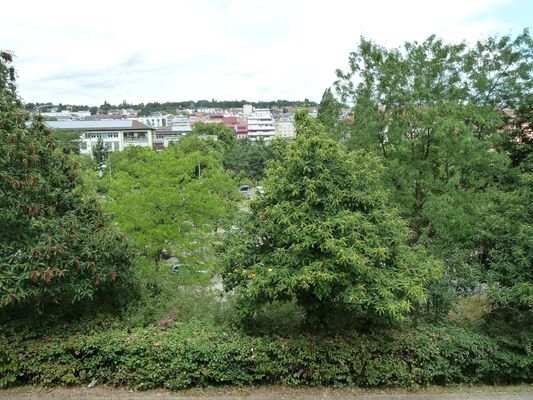 Ausblick