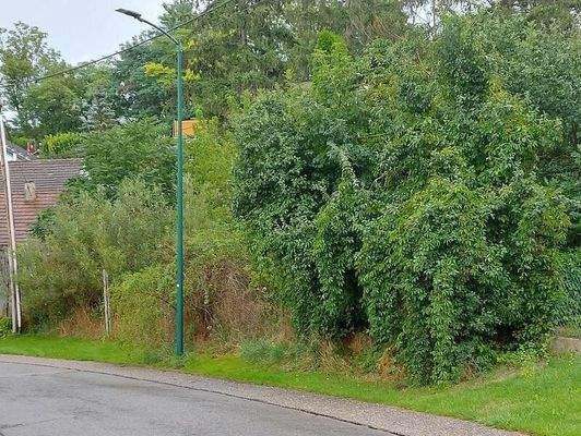 derzeitige Straßenansicht