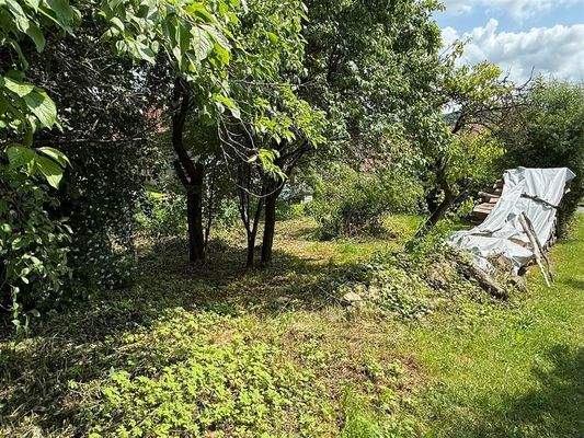 Grundstück Barterode