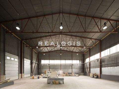 Bamberg Halle, Bamberg Hallenfläche