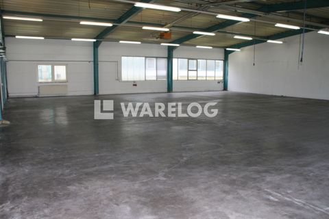 Leinfelden-Echterdingen Halle, Leinfelden-Echterdingen Hallenfläche