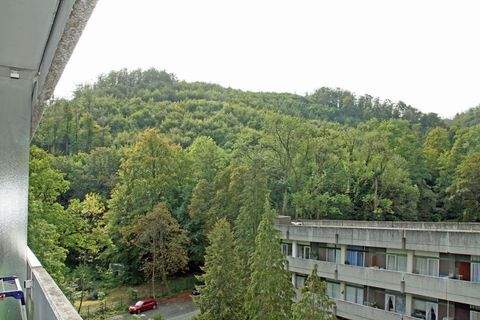 Bad Harzburg Wohnungen, Bad Harzburg Wohnung kaufen