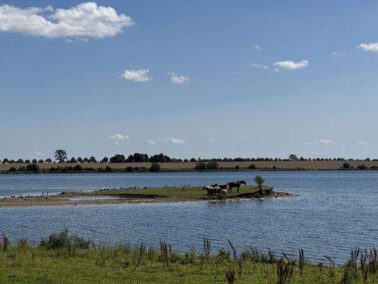 Kirchsee mit Pferden