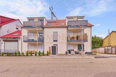 Billigheim-Ingenheim Wohnungen, Billigheim-Ingenheim Wohnung kaufen