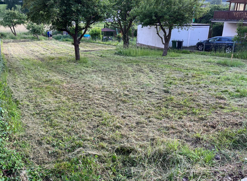 Alfeld (Leine) Häuser, Alfeld (Leine) Haus kaufen