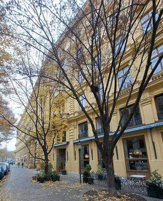 Einbahn mit Altbaumbestand