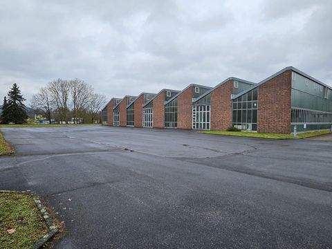 Wertheim Halle, Wertheim Hallenfläche