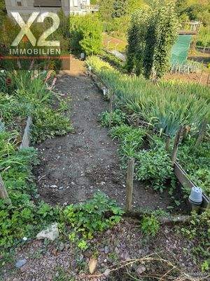 PHOTO-2025-09-03-14-41-59